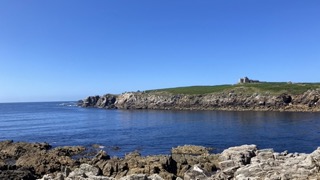 IMG_6591 - Petite.jpeg